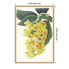 Amanti Art Paxton Tropicals VIII by Jennifer Paxton Parker Framed Canvas Wall Art - 4 of 4