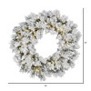 Vickerman Artificial Flocked Snow Ridge Wreath - 2 of 2