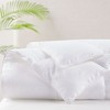 Gracie Mills Samantha Featherless Cotton Down Alternative Comforter - 2 of 4