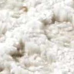 charcoal, ivory, cream, tan