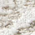 charcoal, ivory, cream, tan