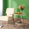 FONTOI Round End Table, 2-Tier Round Side Table, Coffee Table for Living Room, Bedroom, Apartment, Dorm, Brown, 20.08"*17.32"*20.08" - 4 of 4