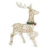 Northlight Lighted Prancing Reindeer Christmas Outdoor Decoration - 25.5" - Gold - Clear Lights - 2 of 2