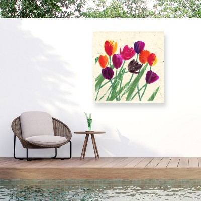 Trademark Fine Art - Jenny Frean Holland Beauties Matted Framed Art
