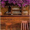 ProductWorks Battery-Operated Ultra LED Lights with Timer Feature, 10 Multicolored Lights, Dragonfly - 3 of 3