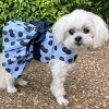 Doggie Design Blackberries Dog Dress with Matching Leash - 2 of 4