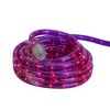 Northlight Incandescent Flexible Outdoor Christmas Rope Lights Clear - 18' Purple - 2 of 3
