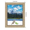 Amanti Art Astor Champagne Picture Frames - 4 of 4