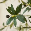 DR.Planzen 72" Artificial Olive Tree with Real Wood Branches - 6FT UV Resistant Indoor/Outdoor Fake Plant in 15.7" Planter (B/W/Coffee) - 4 of 4