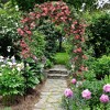 Tangkula Garden Arch Arbor Trellis 7.5 ft Patio Pergola Plant Stand Rack Archway Wedding - 4 of 4