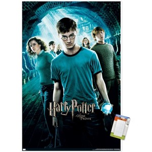 Trends International Harry Potter and the Order of Phoenix (French) Unframed Wall Poster Prints - 1 of 4