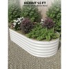 2-Pack Galvanized Steel Raised Garden Beds - Outdoor Deep Planter Box Kit, Rust-Resistant Coated Design for Vegetables, Flowers & Herbs - 2 of 4