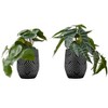 NicBex Artificial Plant Set Of 2, Fake Plants in White Pots, Tabletop Faux Plants Indoor for Living Room/Office/Windowsill Decor - 3 of 4