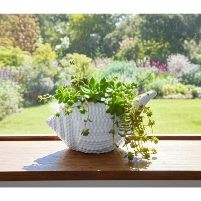 Ceramic Seashell Planter - Coastal Ceramic Plant Pot - Nautical Shell Design - Indoor/Outdoor Home & Garden Decor - Beach Theme Accent - 6" White