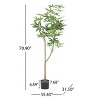 Fake Money Tree Plant Potted Plants Artificial Money Tree Tall Faux Plants in Black Pot Good Luck Excellent Gift Fortune Plants for Home Office - 2 of 4