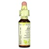 Bach Original Flower Remedies, Clematis, 0.35 fl oz (10 ml) - 4 of 4