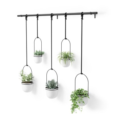 Youtube umbra deals wall planter