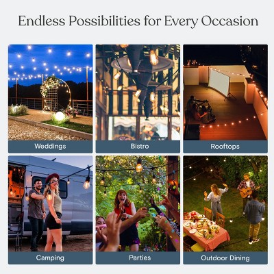 Brightech 48ft Black Outdoor Incandescent Globe String Lights