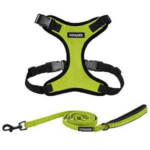 Voyager Step-In Lock Adjustable Dog & Cat Harness and 5ft Leash Combo - 1 of 4