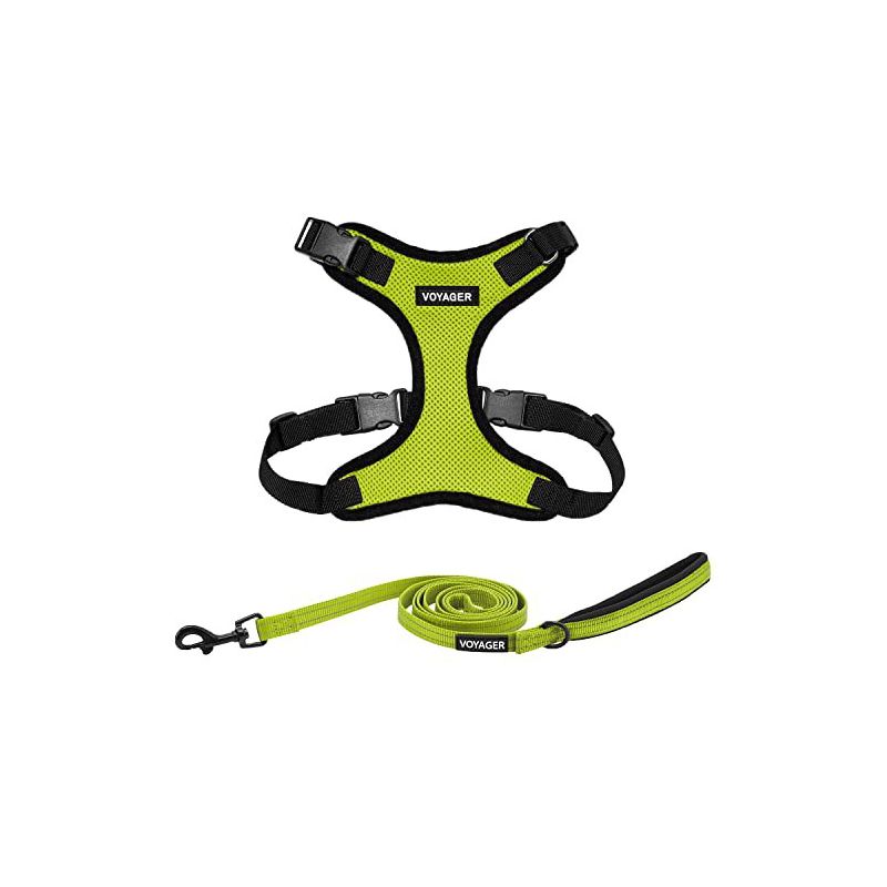 Voyager Step-In Lock Adjustable Dog & Cat Harness and 5ft Leash Combo, 1 of 6