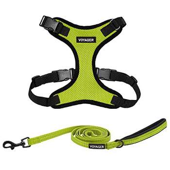 Voyager Step-In Lock Adjustable Dog & Cat Harness and 5ft Leash Combo