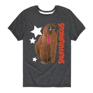 Boys' - Sesame Street - Snuffleupagus Photo Short Sleeve Graphic T-Shirt - 1 of 4