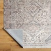 Hauteloom Trula Living Room, Bedroom Machine Washable Area Rug - Traditional - 3 of 4