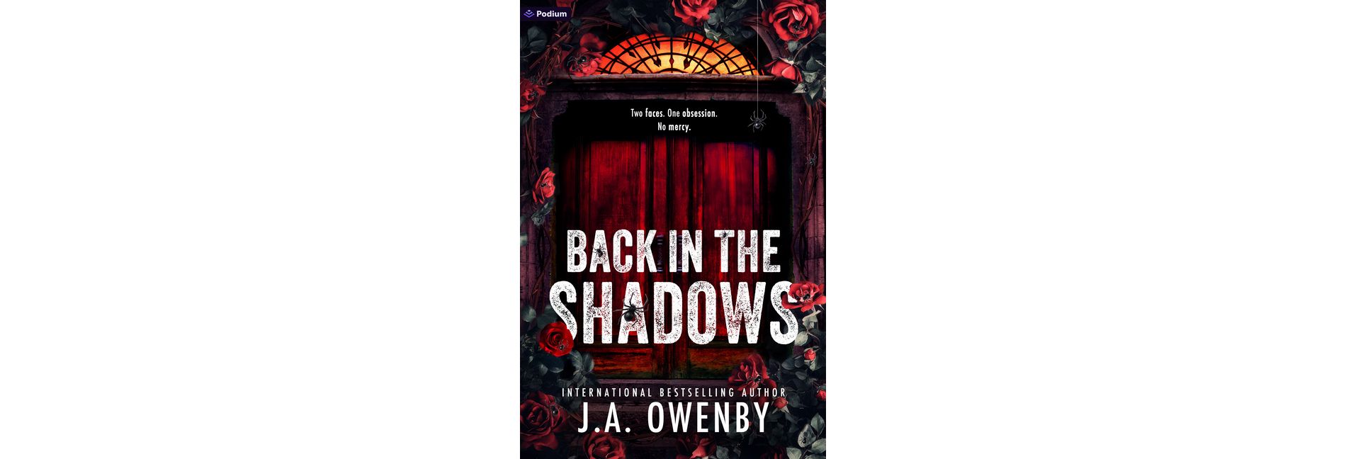 Back in the Shadows - by  J a Owenby (Paperback)