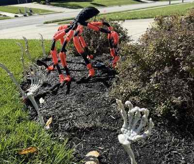 Guest review image 1 of 2, zoom in