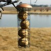 C&S Suet Ball Bird Feeder for Wild Birds, Holds 4 Suet Balls, Copper - 3 of 4
