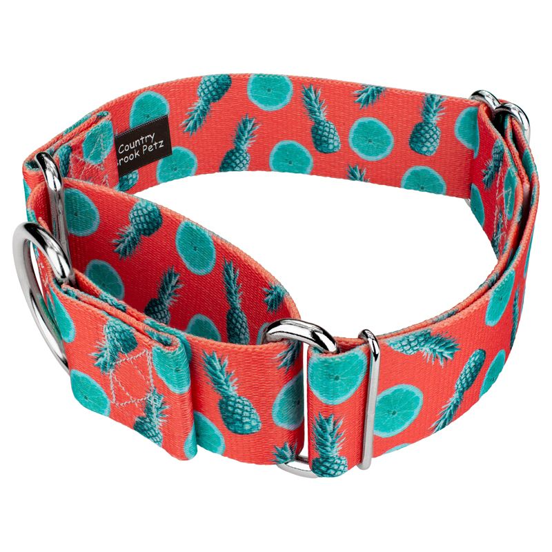 Country Brook Petz 1 1/2 Inch Tropical Tango Martingale Dog Collar, 3 of 6