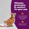 Inspire Pet Care Female Incontinence Dog Diapers for Heat or Pee Disposable Dog Diapers Female All Sizes - 2 of 4