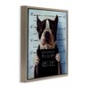 Stupell Industries Boston Terrier Jail Convicted Mugshot, 18" x 18" - 3 of 4