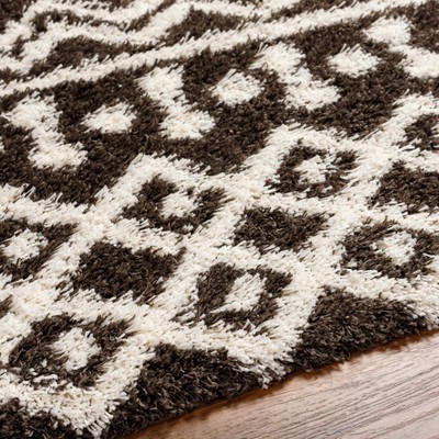 Hauteloom Aysel Shag Area Rug