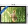 Trends International Fruits Basket - Kyo Soma Framed Wall Poster Prints - 3 of 4