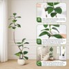 Artificial Rubber Tree with White Sphere Resin Planter Brown Stone Faux Tall Indoor Tropical Large Floor Real Touch Fake Plant for Home Decor - 4 of 4