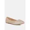 Denki Studded Ballerina Women Flats - 2 of 4