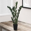 Syemin Artificial Plants Artificial Plant 29" Tall Zz Tree Home Decor Fake Plant Faux Plants Indoor Outdoor Fall Decoration, Green, 17"*16"*29" - 4 of 4