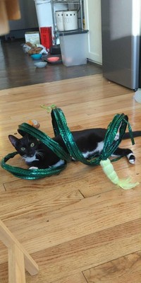 Guest review image 1 of 2, zoom in