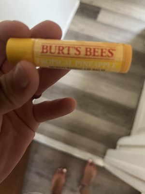 Pineapple Bees Wax Lip Balm –