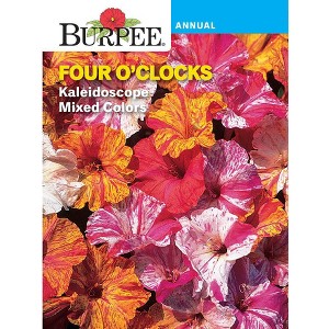 BurpeeFour O' Clocks Kaleidoscope Flower Seeds - 1 of 2