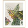 Amanti Art Croton Plants by Jacob Q Wood Framed Wall Art Print - 4 of 4