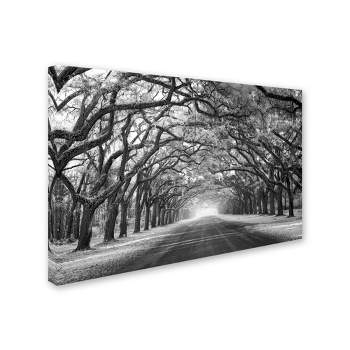 Trademark Fine Art - Mike Jones Photo 'Wormsloe Inf Light' Canvas Art