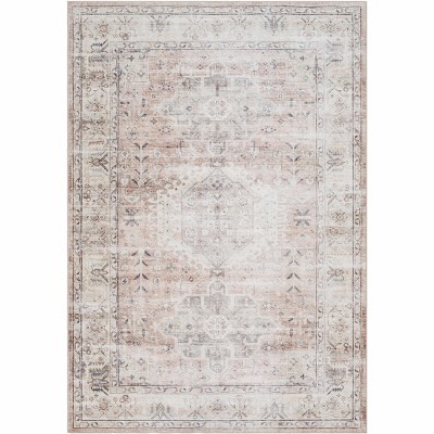 Hauteloom Laran Taupe Distressed Washable Area Rug