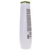 Matrix Biolage Strength Recovery Shampoo 13.5 oz - 4 of 4