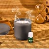 Lifelines Flameless Candle Diffuser - Frosted Glass Charcoal - 4 of 4