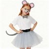 Joyfy Halloween Costume Accessory Mouse Costume Set, Animal Ears Headband Tail Costume Accessory for Kids Adult Halloween Animal Costume - 2 of 4