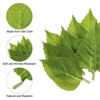 Unique Bargains Silk Cloth Plastic Wrinkle-Resistant Realistic Look Artificial Silk Sunflower Leaves 3.54x1.97 Inch Green 40 Pcs - 4 of 4