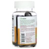 Lifeable Immune Support Gummies with Elderberry, Vitamin C and Zinc, Natural Berry, 60 Gummies - 3 of 4