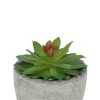 Unique Bargains Artificial Plants Mini Echeveria in Pulp 2.36"x2.36"x3.15" 1 Pc - 4 of 4
